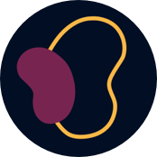 Learn About CKD And Early Intervention